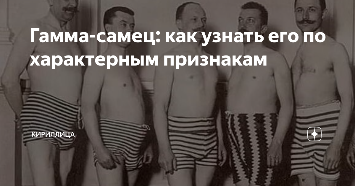 Гамма-самец: как узнать его по характерным признакам | Кириллица | Дзен