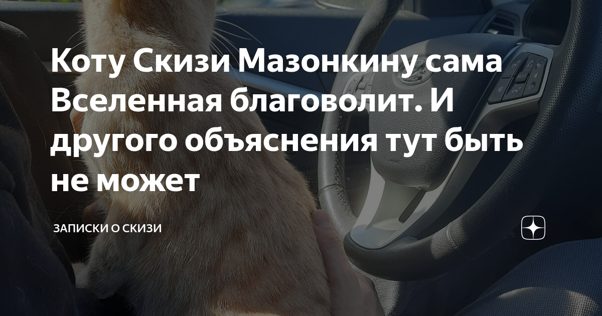 Коту Скизи Мазонкину сама Вселенная благоволит. И другого объяснения ...