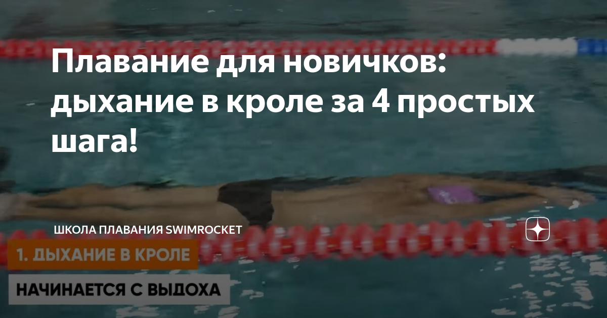 Выдох при кроле. Кроль дыхание. Дыхание пловца. Вдох в кроле. SWIMROCKET школа плавания