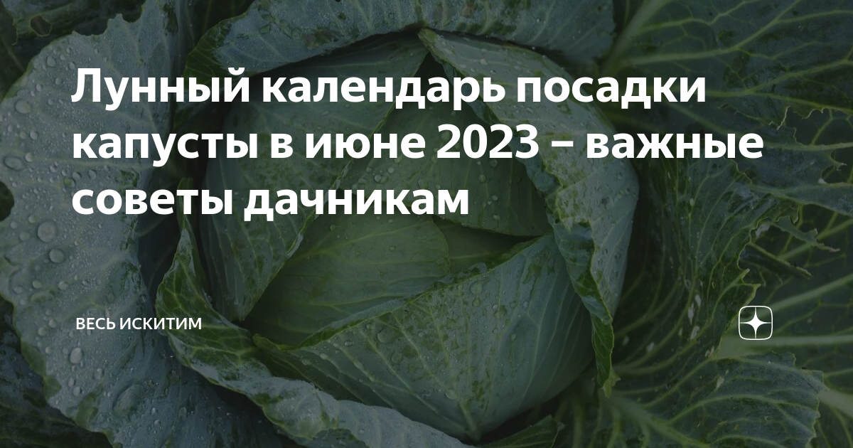 Посев капусты в апреле по лунному календарю