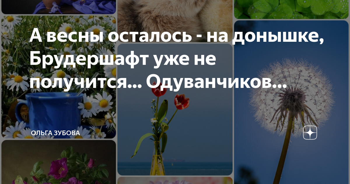 А весны осталось на донышке брудершафт уже не получится стих с картинкой