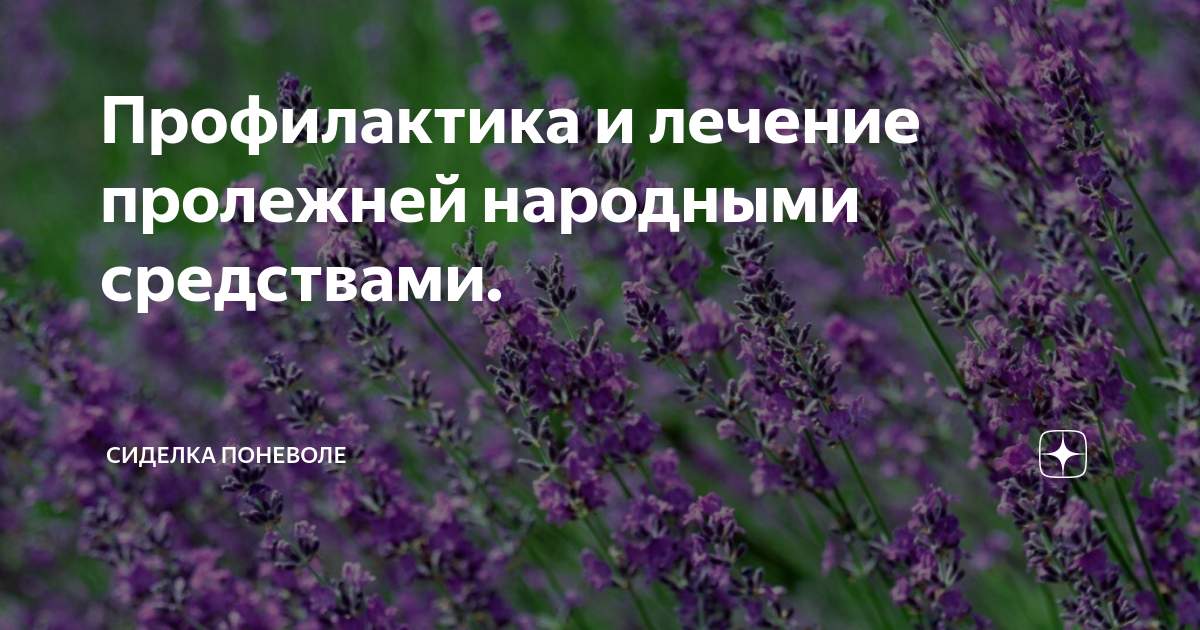 Профилактика и лечение пролежней народными средствами. | Сиделка поневоле | Дзен