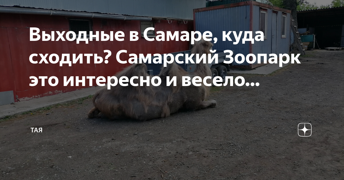 Куда сходить в самаре в марте 2024