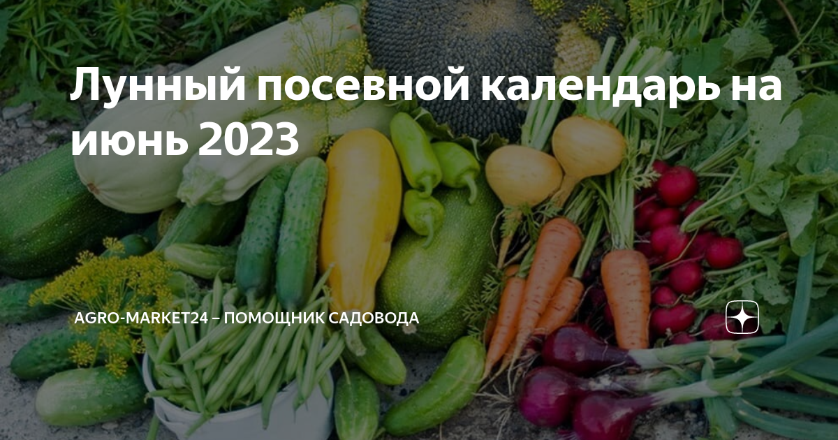 Посевной на июнь 2024г садовода. Лунный посевной на июнь 24. Лунный календарь июнь 2023. Лунный посевной календарь на 2023 год садовода и огородника.