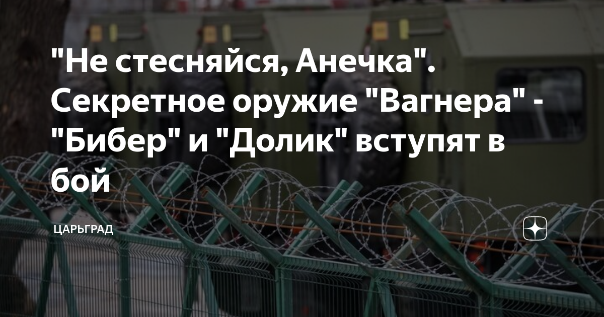 Не стесняйся, Анечка. Секретное оружие Вагнера - Бибер и Долик вступят в бой