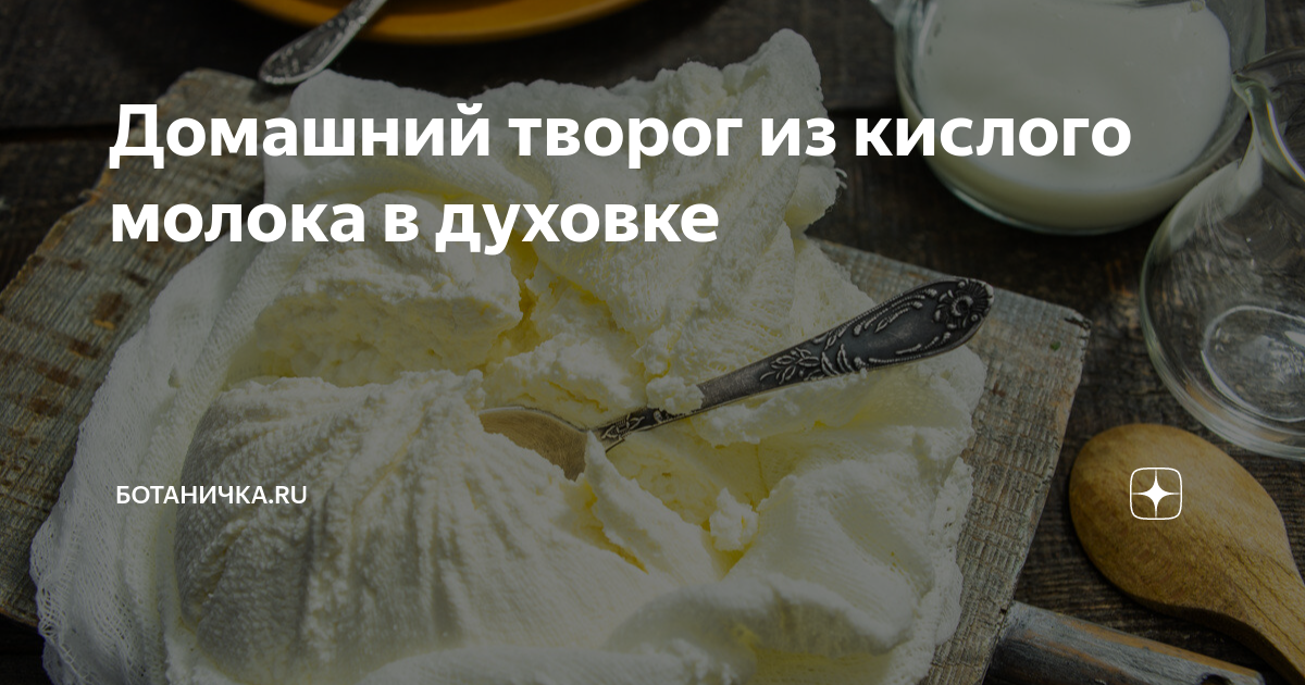 Творог из прокисшего молока: простой рецепт, который сэкономит продукты