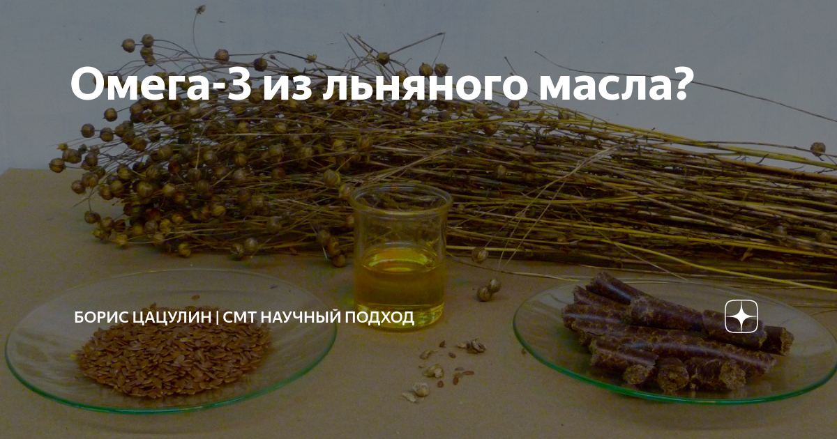 Омега-3 из льняного масла? | Борис Цацулин | CMT Научный подход | Дзен