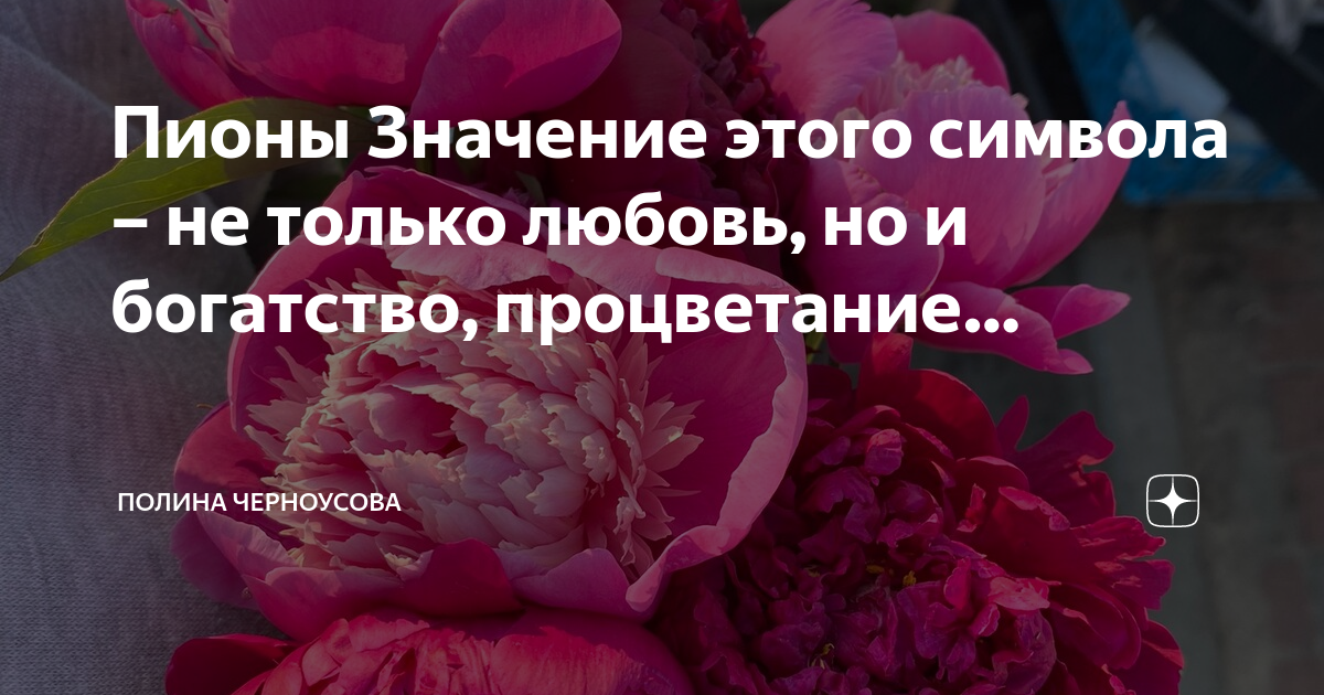 Пионы значение. Пионы смысл. Пионы значение цветка в подарок. Пионы смысл цветка.