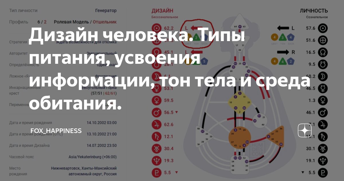 Мифы и вопросы по питанию в Дизайне Человека | VK