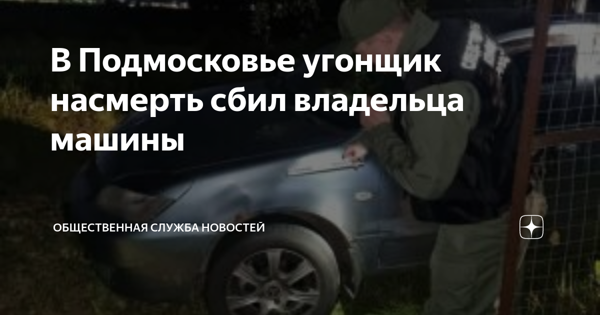 Собака угнала машину своего хозяина и попала в дтп