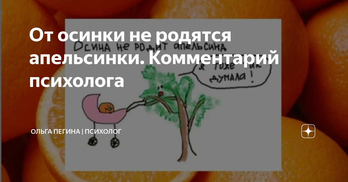 Пословица не родятся апельсинки