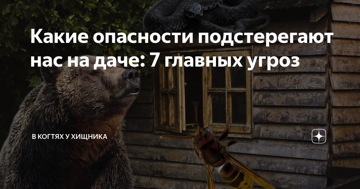 какие опасности подстерегают в горах