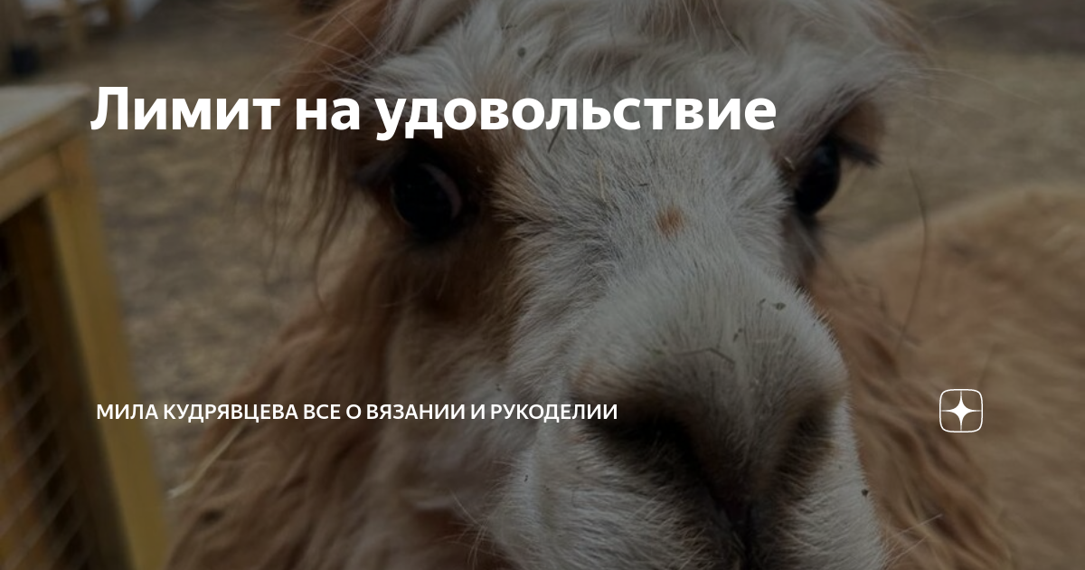 Лимит на удовольствие | Мила Кудрявцева Все о вязании и рукоделии | Дзен