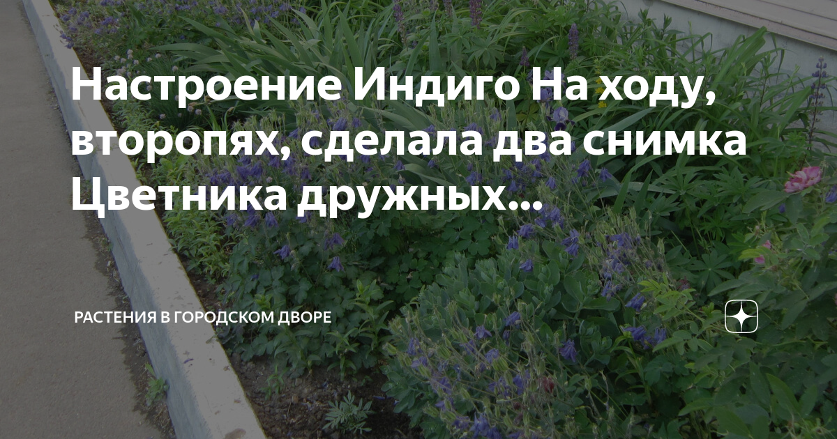 настроение индиго