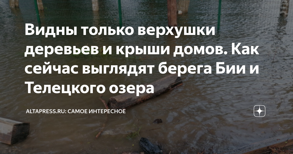 Видны только верхушки деревьев и крыши домов. Как сейчас выглядят ...