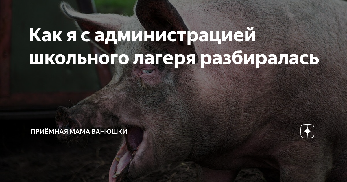 Как я с администрацией школьного лагеря разбиралась | Приёмная мама ...
