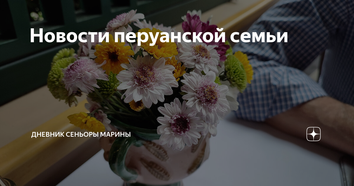 Новости перуанской семьи | Дневник сеньоры Марины | Дзен