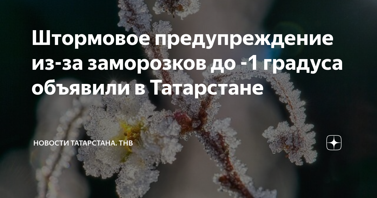 Будут ли в татарстане заморозки мае 2024. Заморозки в Татарстане. Заморозки на почве. Памятка заморозки в воздухе и на почве. Штормовое предупреждение.