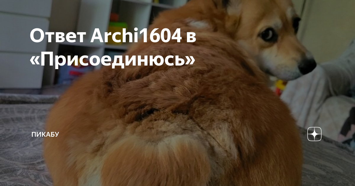 Змеи в москве