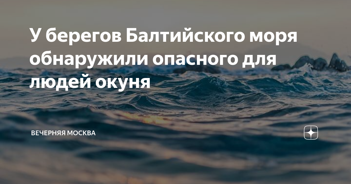 Говорящая вода. Разговаривать с водой. Говори и вода. Ученые бьют тревогу: мировой океан рекордно нагрелся.