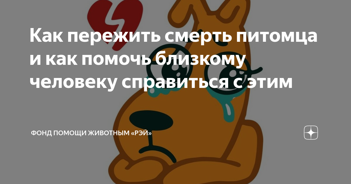 Помните и делитесь воспоминаниями о питомце