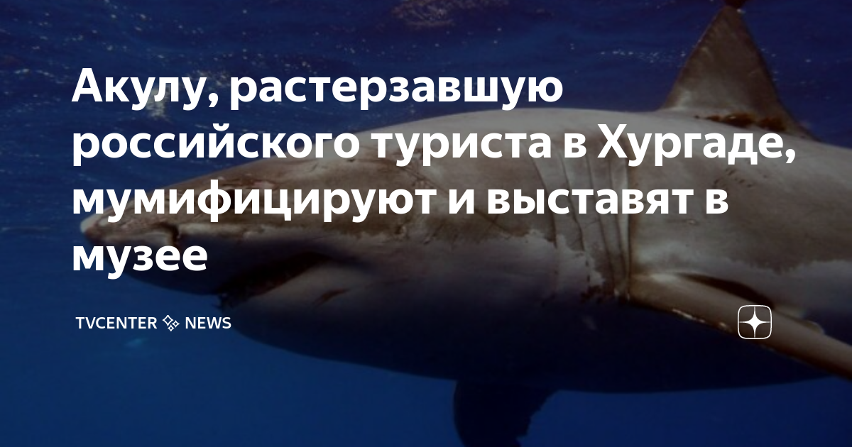 Погибшие на морях