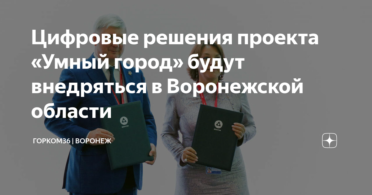 Вламиан воронеж проект