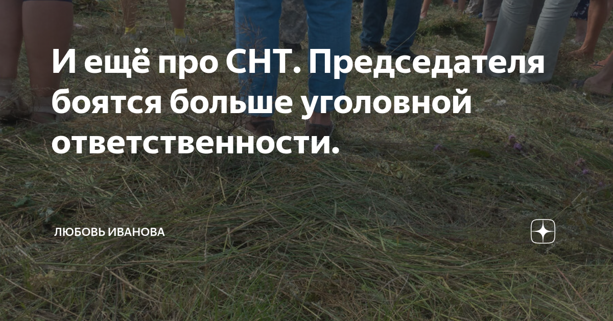 И ещё про СНТ. Председателя боятся больше уголовной ответственности ...