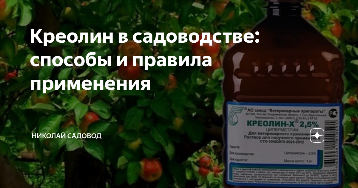 Креолин в садоводстве: способы и правила применения | Николай Садовод ...