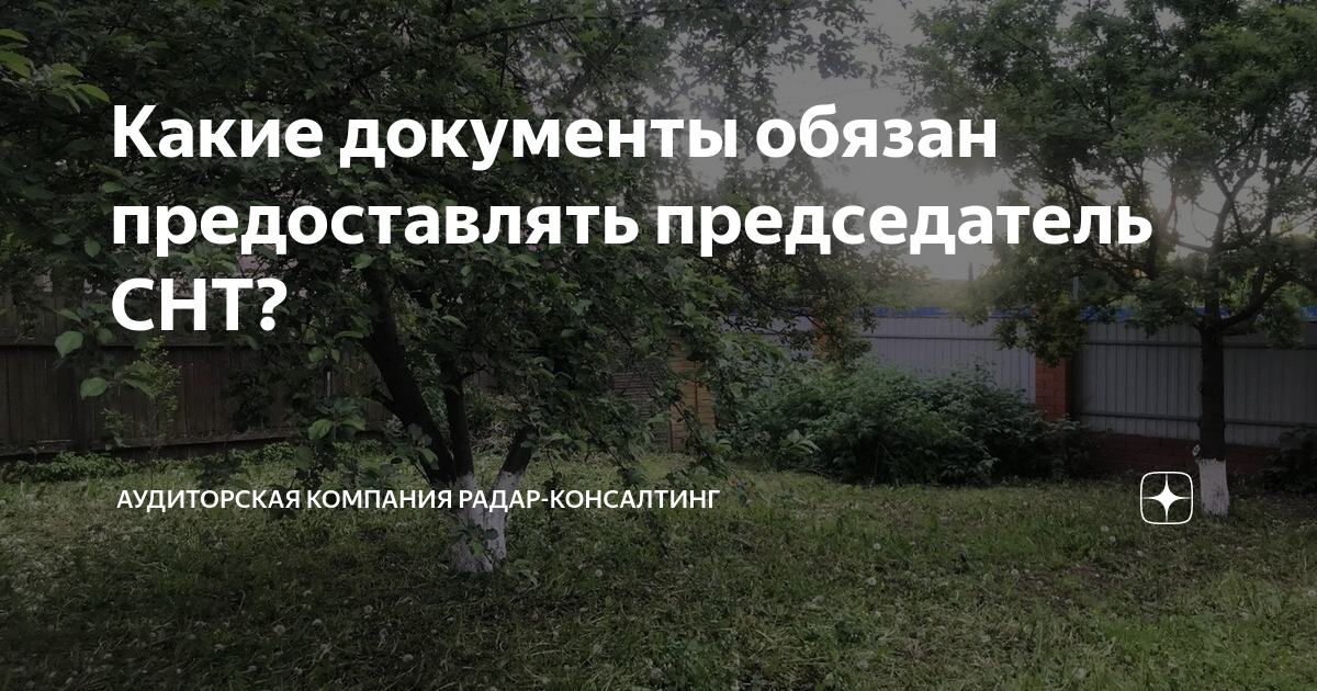 Какие документы обязан предоставлять председатель СНТ? | Аудиторская ...