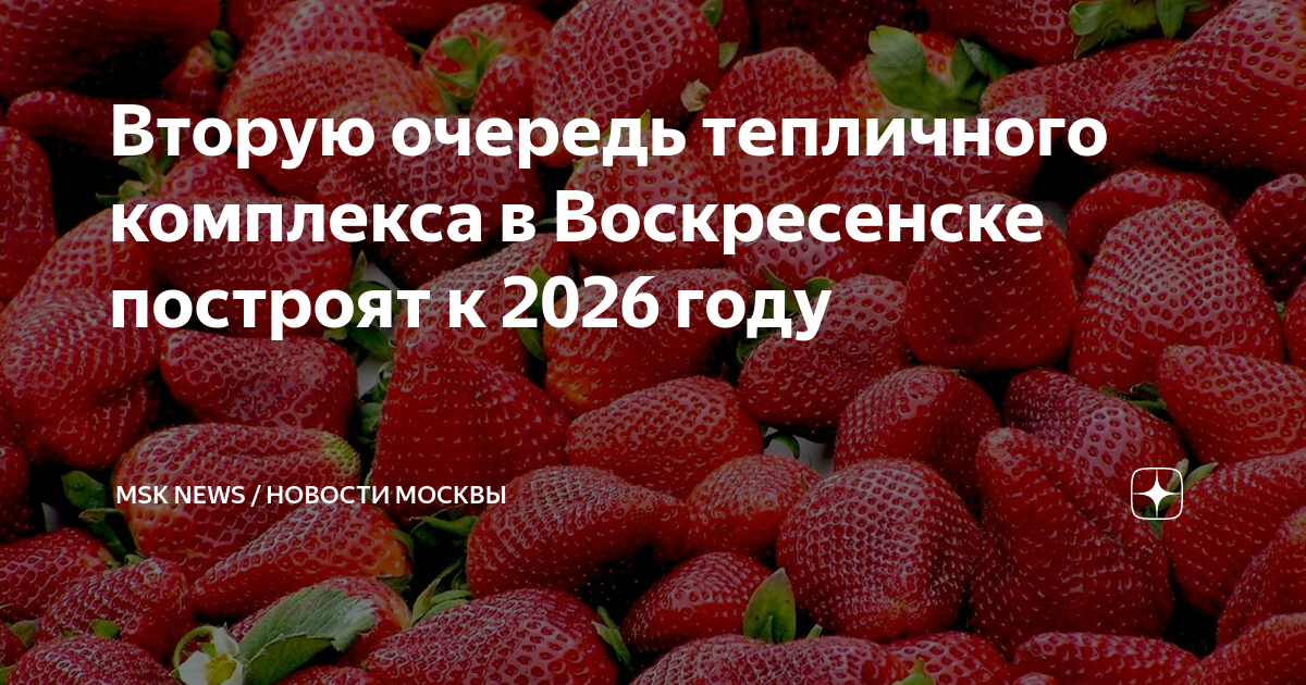 Проект израиль будет закрыт к 2025 году