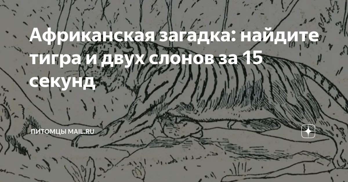 Африканская загадка: найдите тигра и двух слонов за 15 секунд | Питомцы ...
