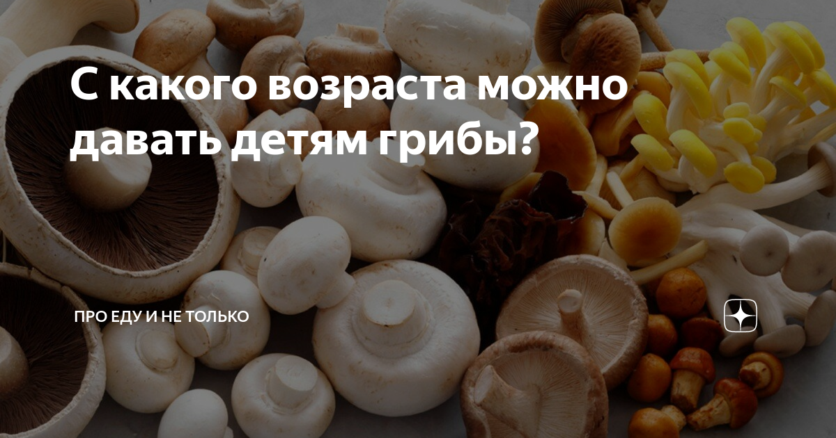 С какого возраста детям можно грибы лесные. С какого возраста можно есть грибы детям. Когда можно давать грибы детям шампиньоны. Шампиньоны для детей рецепт. Вешки еда.