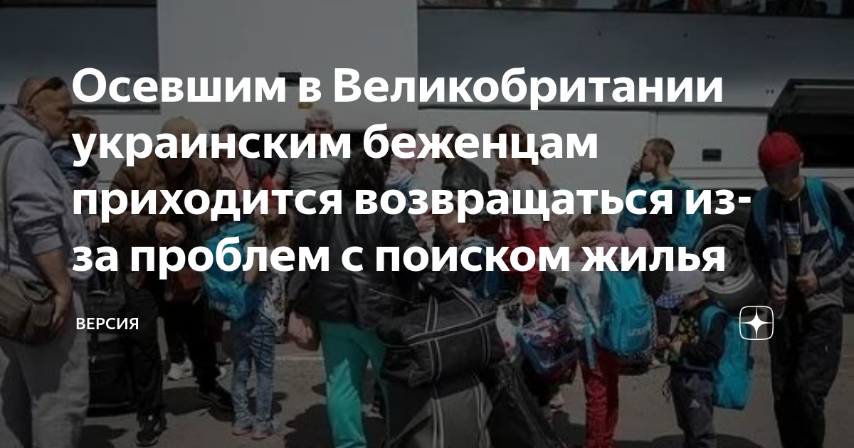 Социальный проект беженцы