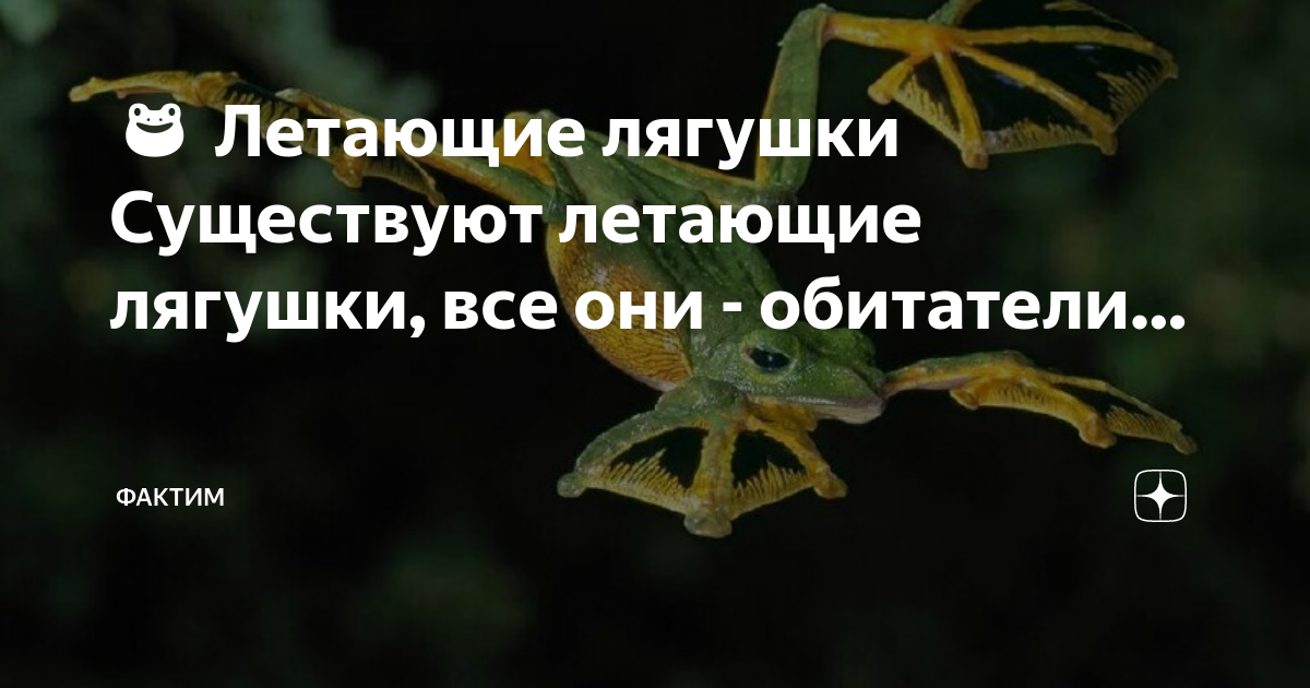 Уровень 61 помоги лягушке. Braintest 61 уровень. Помогите лягушке взлететь уровень. Взлететь лягушки. Головоломка brain test уровень 61 ответ.