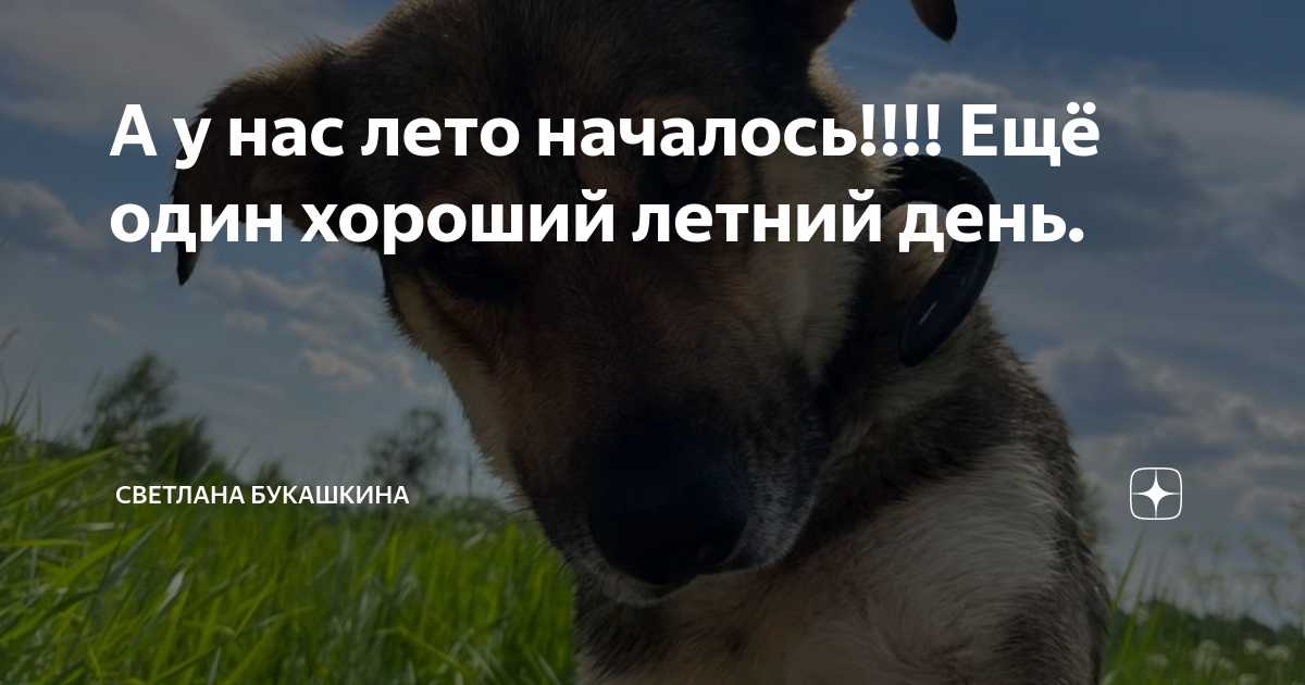 А у нас лето началось!!!! Ещё один хороший летний день. | Светлана ...