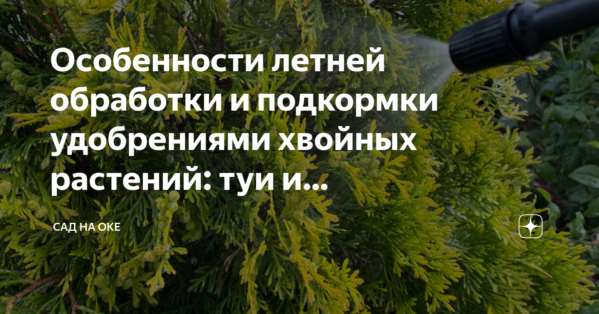 Сад на оке