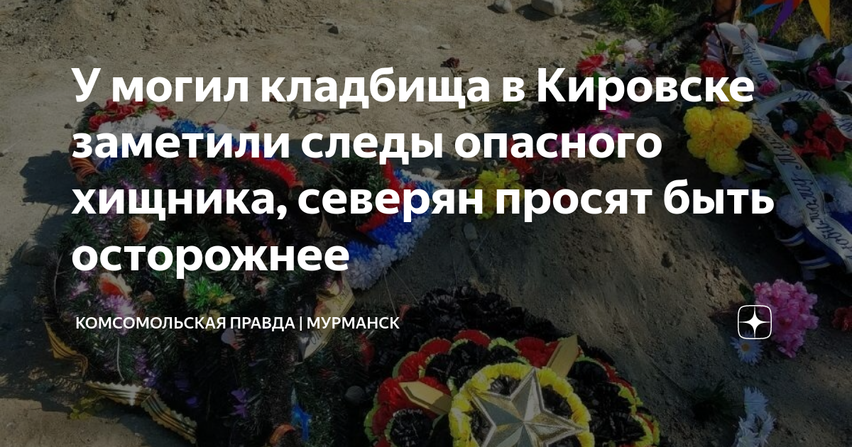 Могильный ров мурманск карта