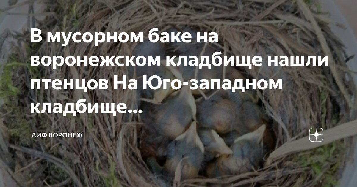 Воронеж юго западное кладбище план