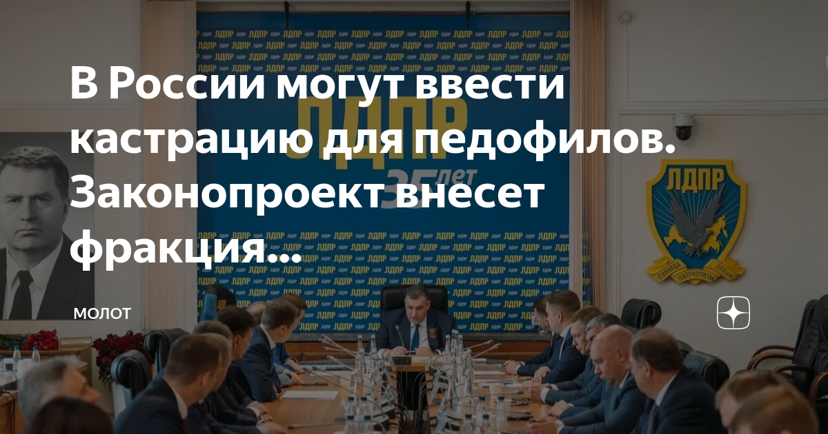 Что такое проект закона