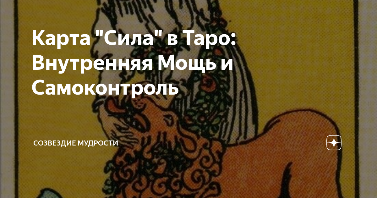 Карта мудрость условия