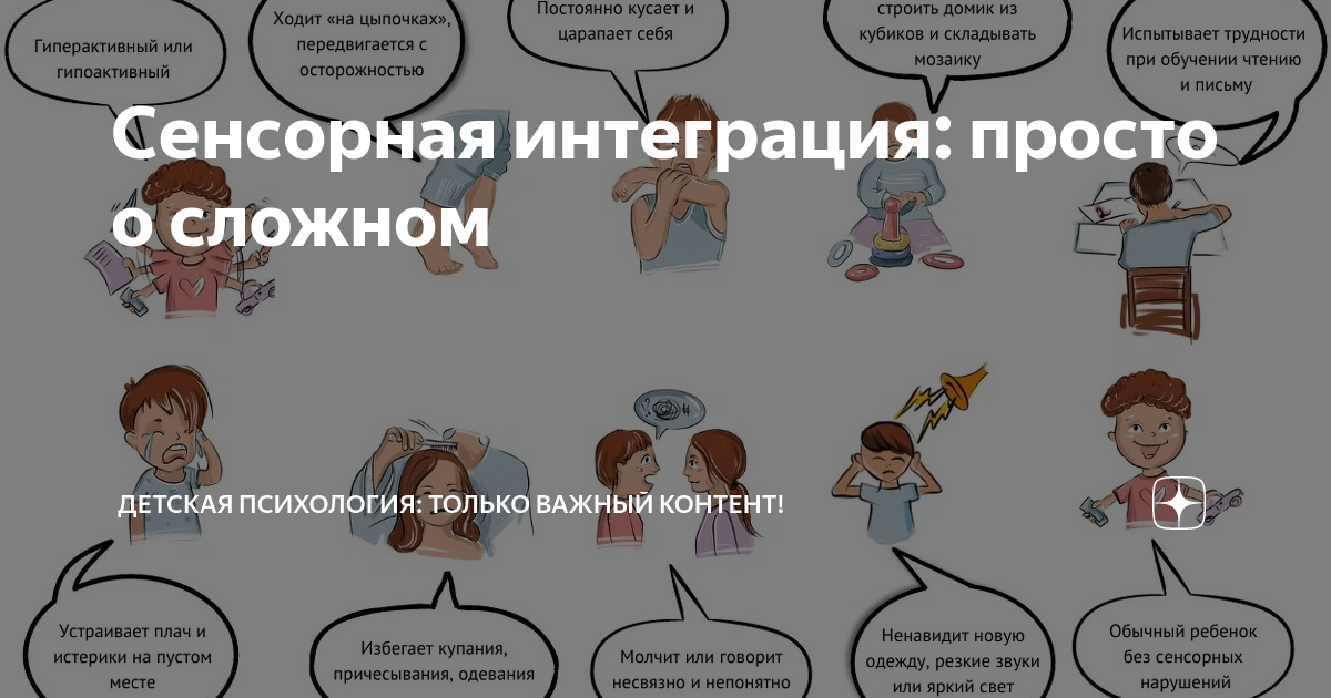 (PDF) Дисфункции сенсорной интеграции при аутизме | Olga Rychenkova - podarok-55.ru