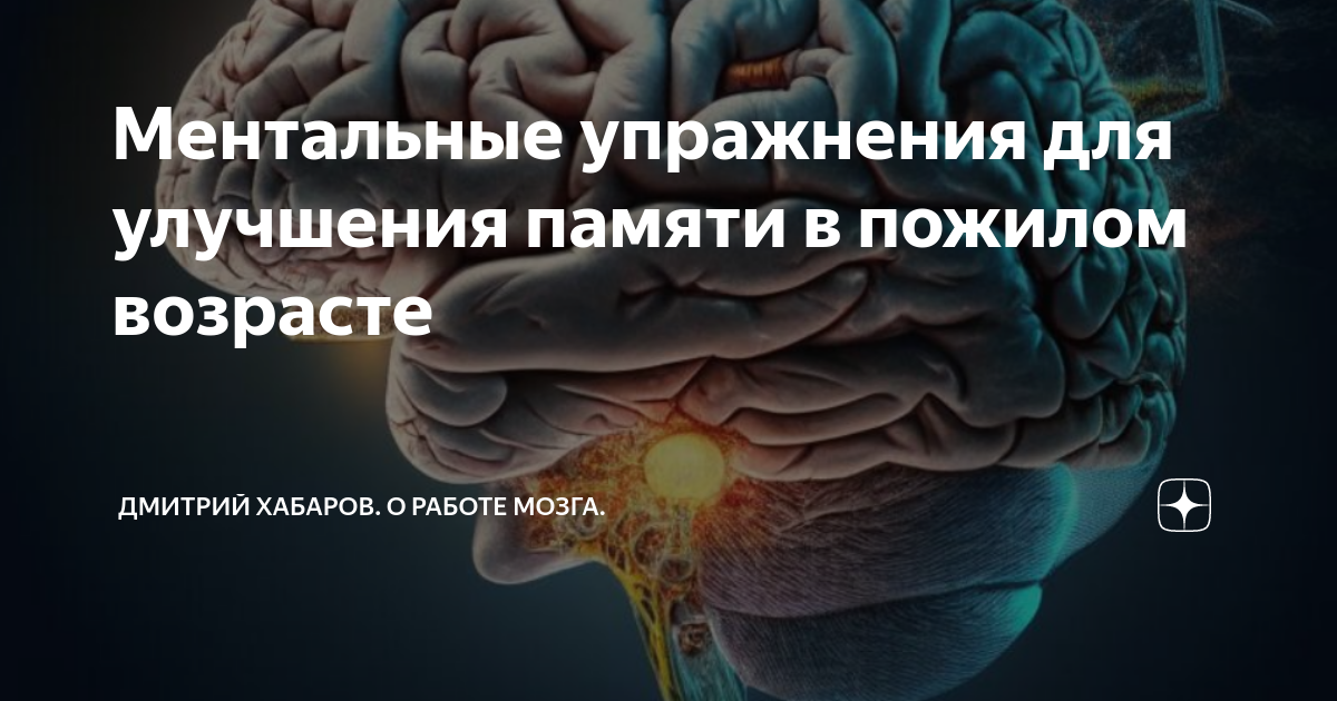 Ментальные упражнения для улучшения памяти в пожилом возрасте | Дмитрий ...