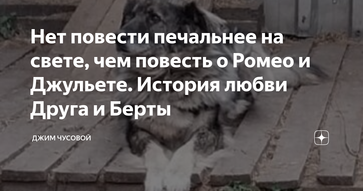 Нет повести печальнее на свете, чем повесть о Ромео и Джульете. История ...