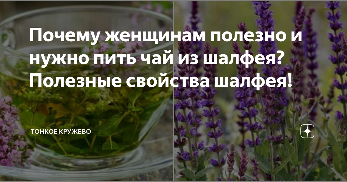 Шалфей травяной чай. Шалфей зеленый чай. Шалфей rosenkonigin. Шалфей лечебные свойствв. Чай из шалфея.
