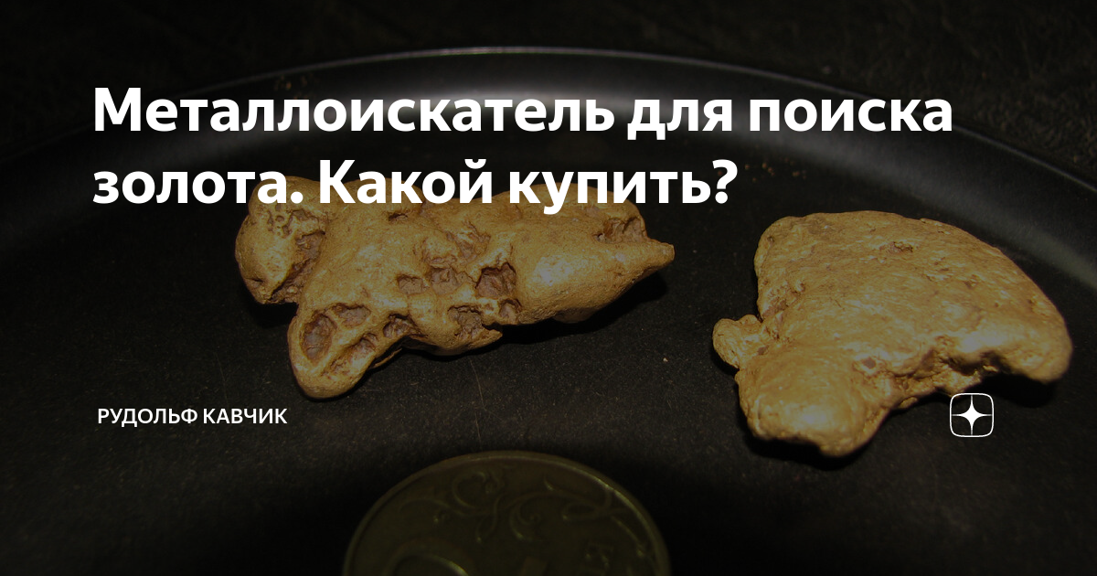 Металлоискатель для поиска золота. Какой купить? | Рудольф Кавчик | Дзен
