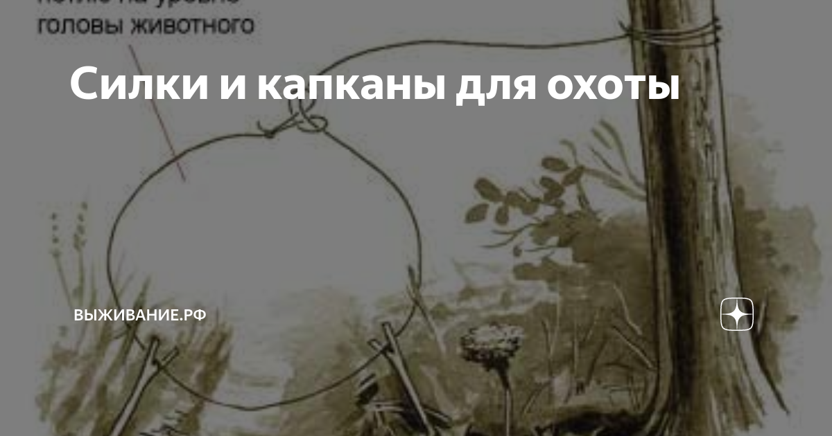 Силки и капканы для охоты | Выживание.рф | Дзен