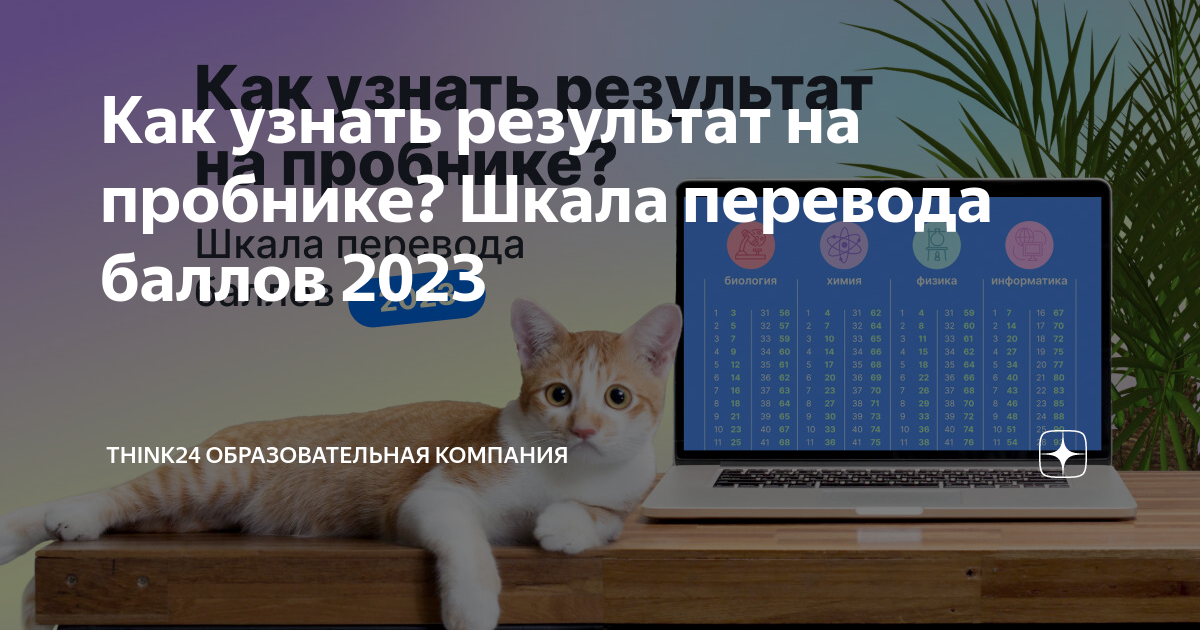 Московский балл 2023