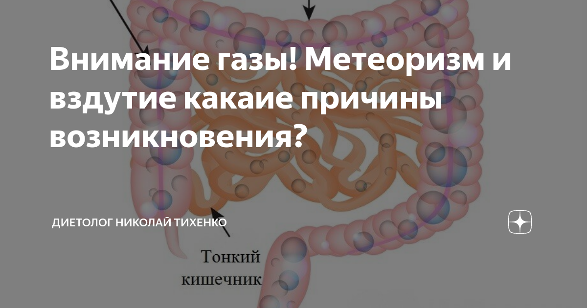 Строение терминального отдела подвздошной кишки. Кровоснабжение тощей кишки схема. Тощая и подвздошная кишка строение. Иннервация тонкого кишечника.