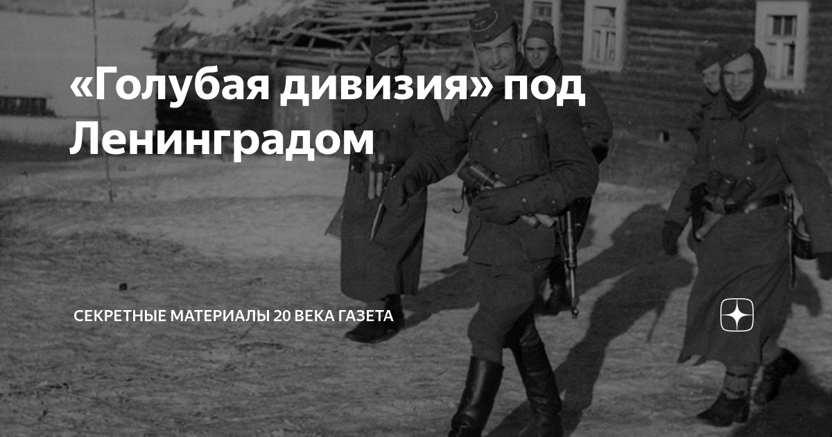 Голубая дивизия под ленинградом